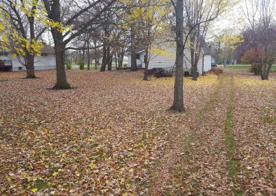 Lawn-Care