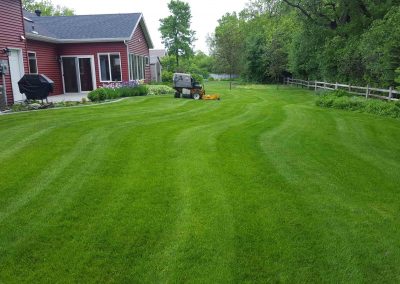 Lawn-Mowing-Service