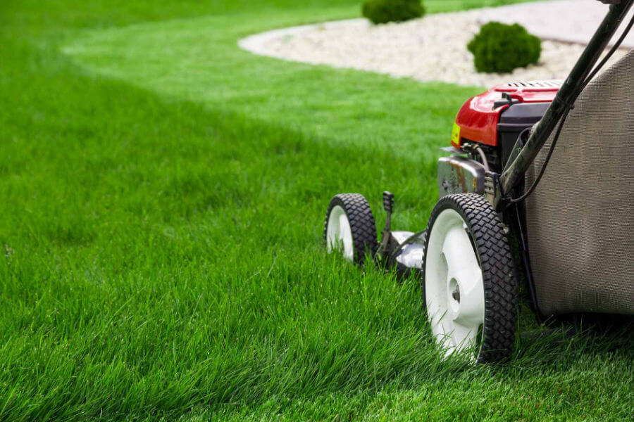 Lawn Mowing