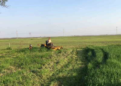 Mowing-Service