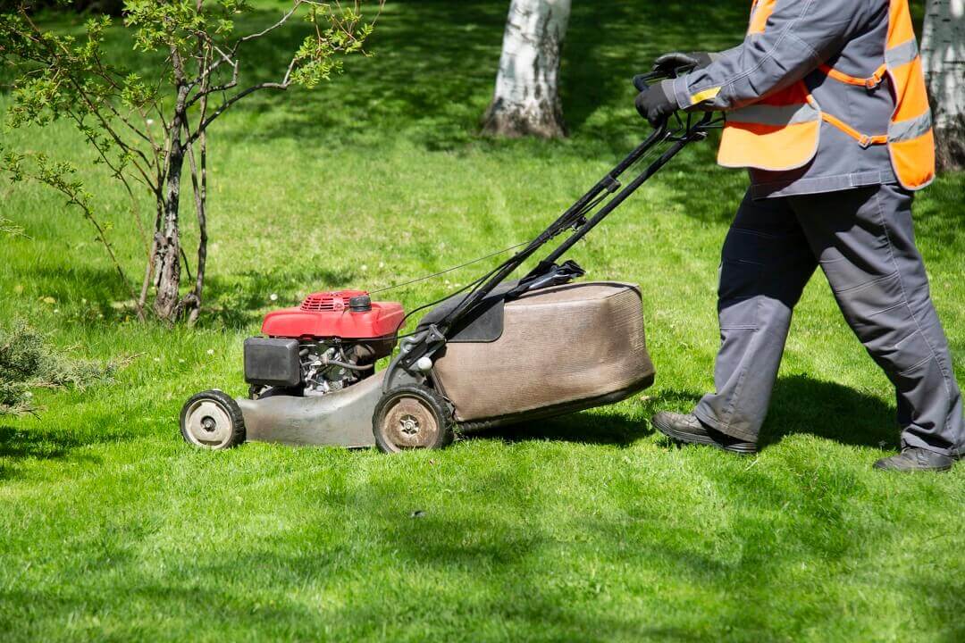 Landscaping Detroit Lakes, MN