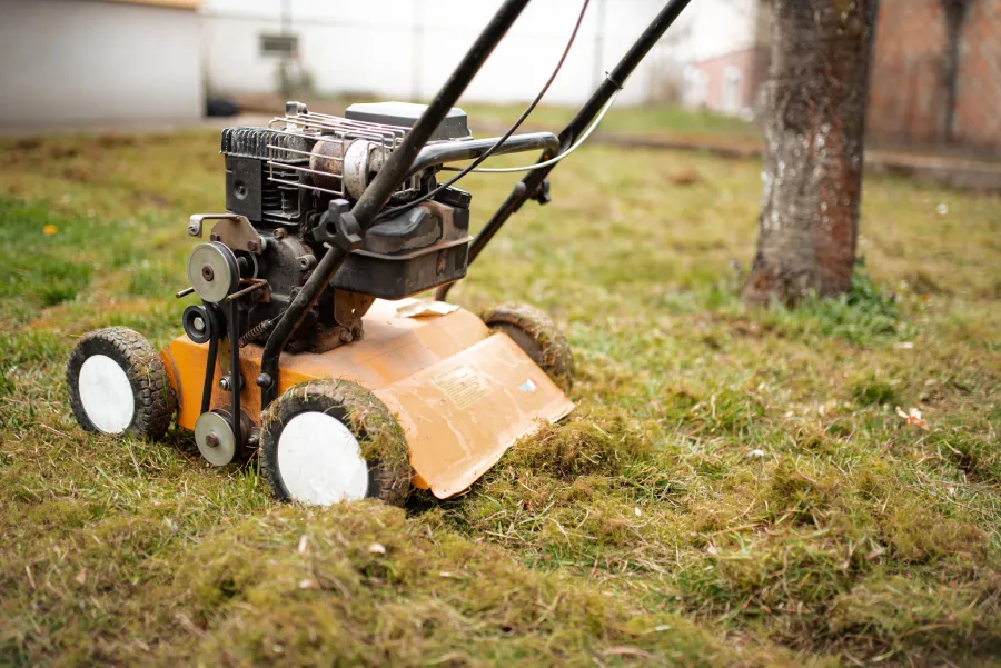 Lawn Aeration