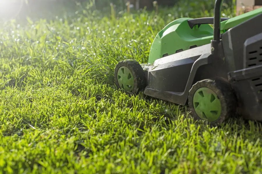 Lawn Mowing