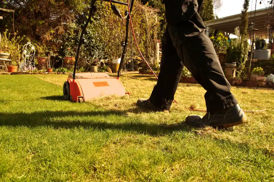Power Raking