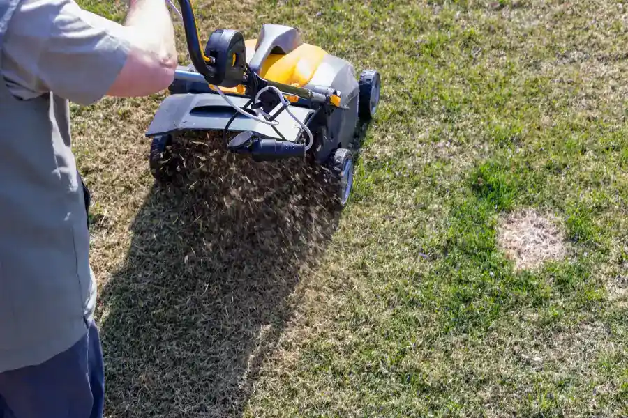 Signs Your Lawn Needs Professional Power Raking Services Detroit Lakes, MN Signs Your Lawn Needs Professional Power Raking Services Detroit Lakes, MN