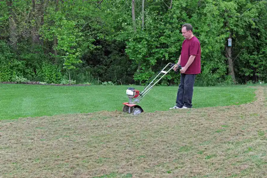 Signs Your Lawn Needs Professional Power Raking Services in Detroit Lakes, MN Signs Your Lawn Needs Professional Power Raking Services in Detroit Lakes, MN