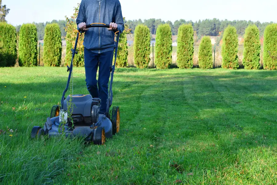 Affordable Lawn Mowing Detroit Lakes, MN