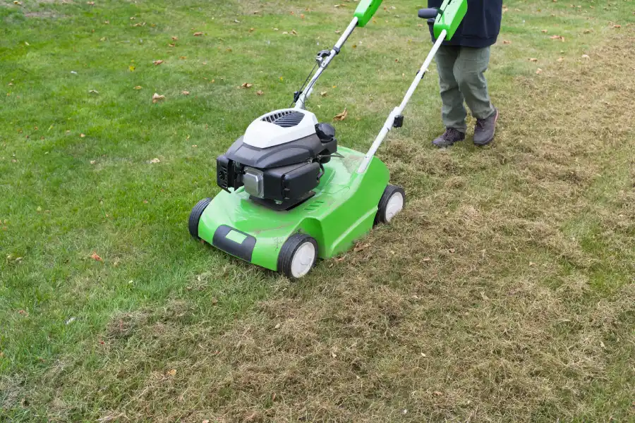 Affordable Power Raking in Detroit Lakes, MN Affordable Power Raking in Detroit Lakes, MN