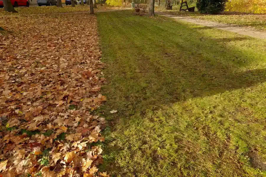 Excellent Power Raking in Detroit Lakes, MN Excellent Power Raking in Detroit Lakes, MN