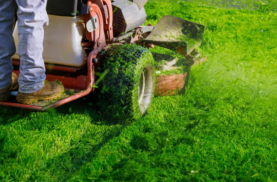 Preparing Your Lawn For Mowing During Extreme Weather Detroit Lakes, MN