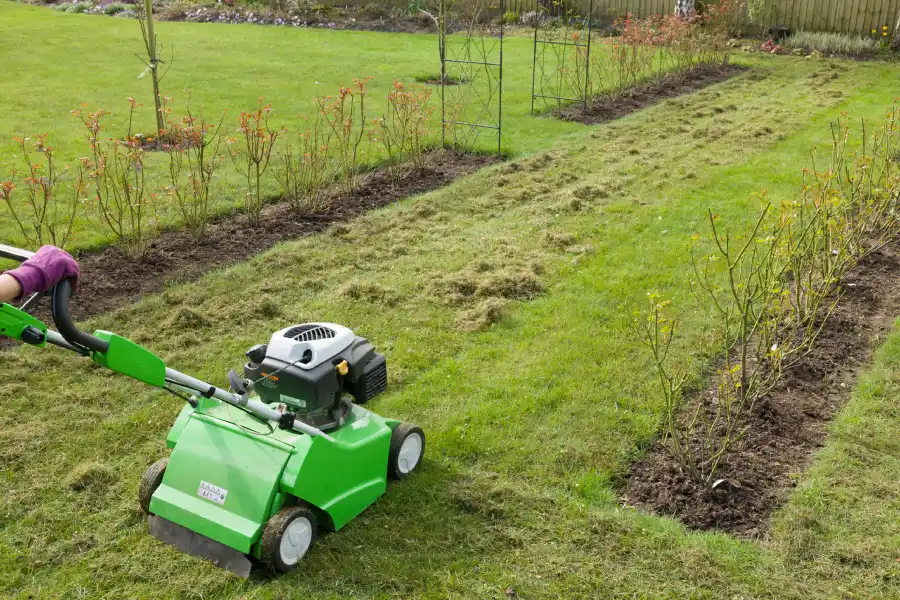 Professional Power Raking in Detroit Lakes, MN Professional Power Raking in Detroit Lakes, MN