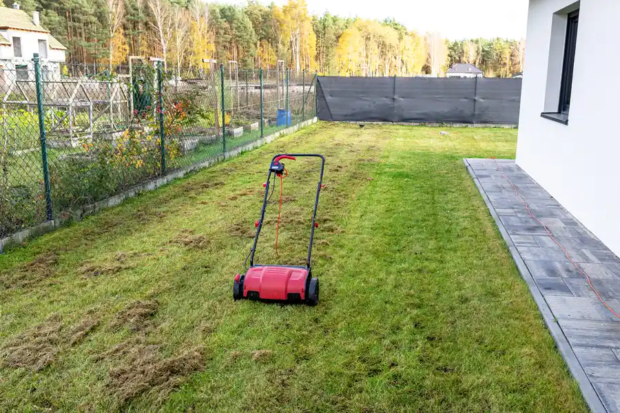 Reliable Lawn Aeration Detroit Lakes, MN