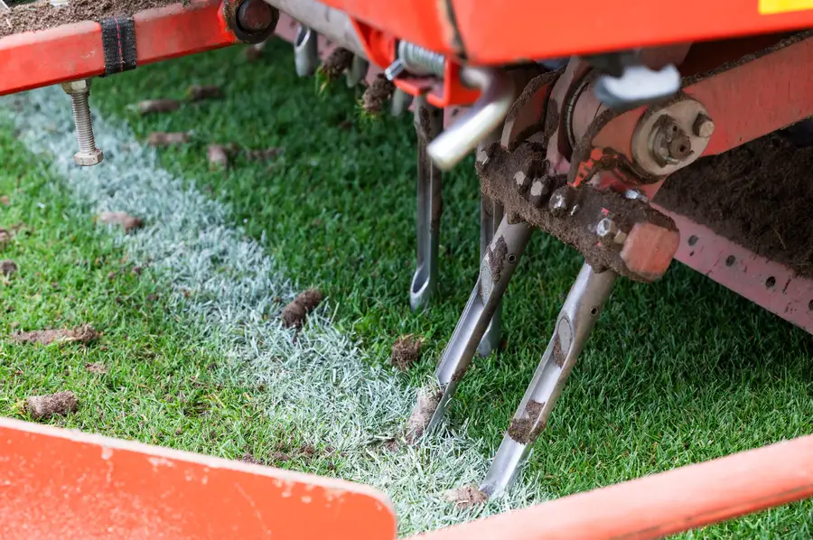 Signs Your Lawn Needs Aeration For Optimal Performance Detroit Lakes, MN