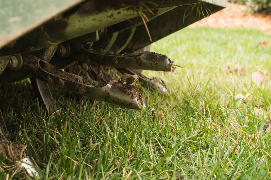 The Role Of Lawn Aeration In Preventing Soil Compaction in Detroit Lakes, MN