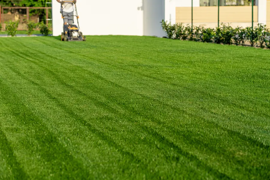 Understanding The Ideal Frequency For Lawn Mowing Detroit Lakes, MN