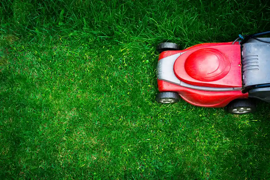 Understanding The Ideal Frequency For Lawn Mowing in Detroit Lakes, MN